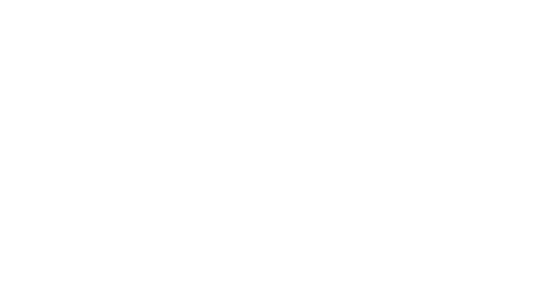 NPLI Logo in white on a transparent background