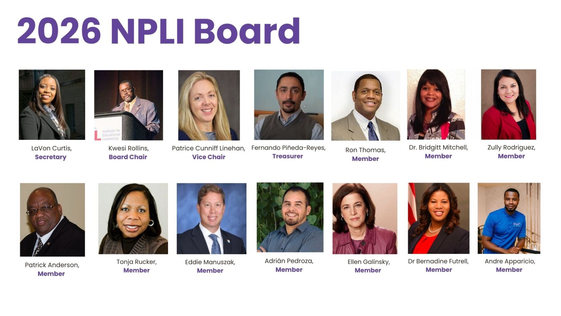 2026 NPLI Board Members